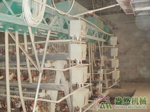 4架3層蛋雞自動上料機