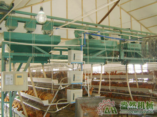 3架3層蛋雞自動上料機