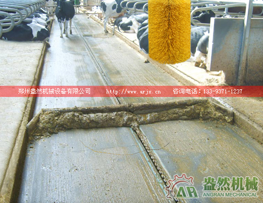 牛場自動刮糞機