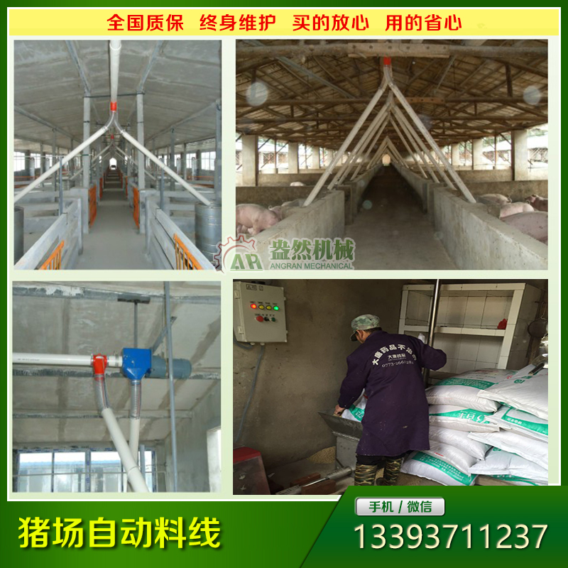 豬場自動喂料線