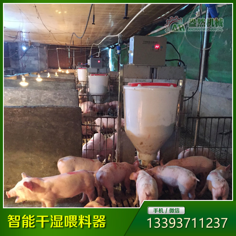 保育育肥一體智能干濕喂料器（粥料）