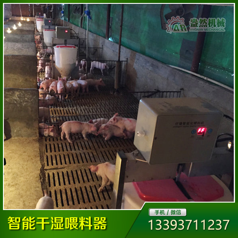 保育育肥一體智能干濕喂料器（粥料）