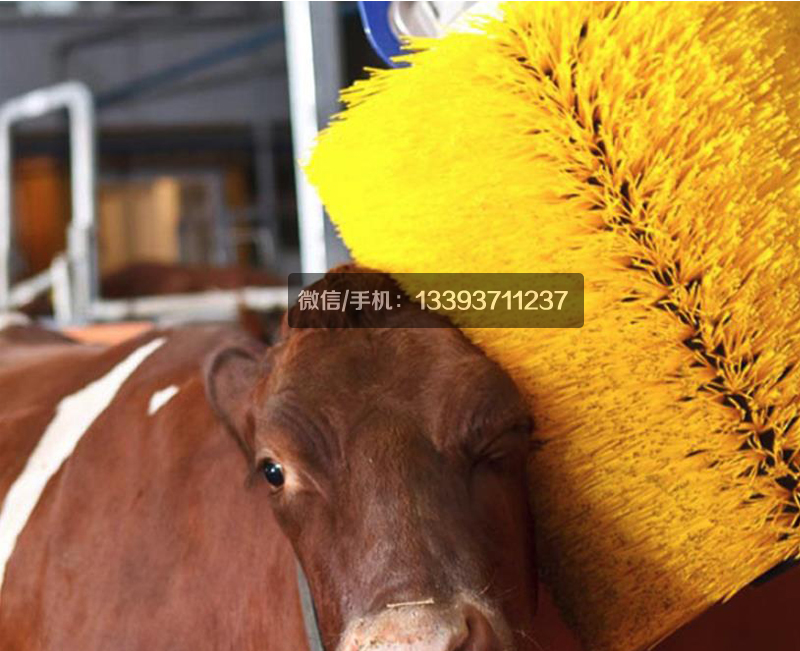 牛體刷,全自動牛體刷,牛體按摩蹭癢毛刷,奶牛按摩刷